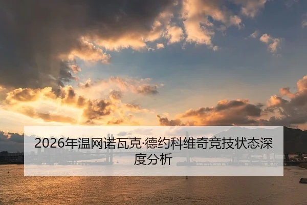2026年温网诺瓦克·德约科维奇竞技状态深度分析
