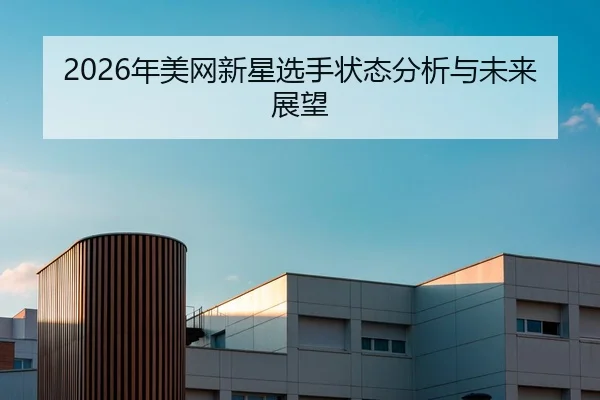 nian-mei-wang-xin-xing-xuan-shou-zhuang-tai-fen-xi-yu-wei-lai-zhan-wang-2-227.jpg